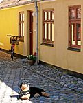 "Wachhund" in Saeby